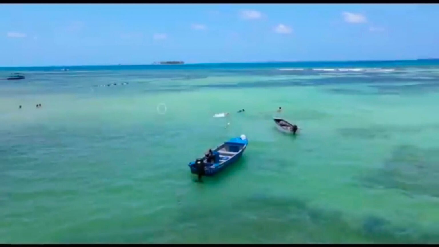 IMG_20251215_184517 (1)